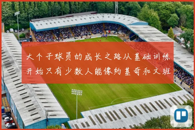 大个子球员的成长之路从基础训练开始只有少数人能像约基奇和文班那样成功
