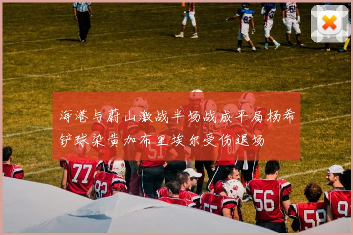 海港与蔚山激战半场战成平局杨希铲球染黄加布里埃尔受伤退场