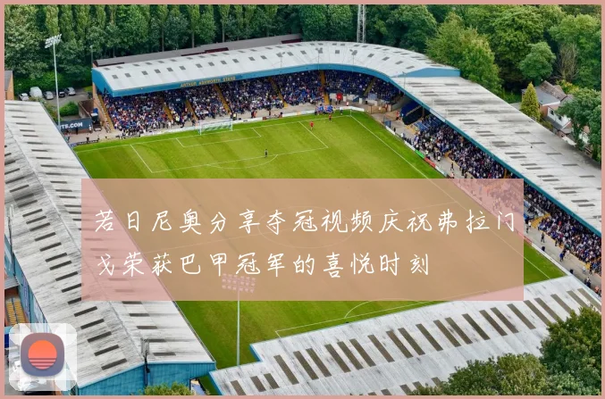 若日尼奥分享夺冠视频庆祝弗拉门戈荣获巴甲冠军的喜悦时刻