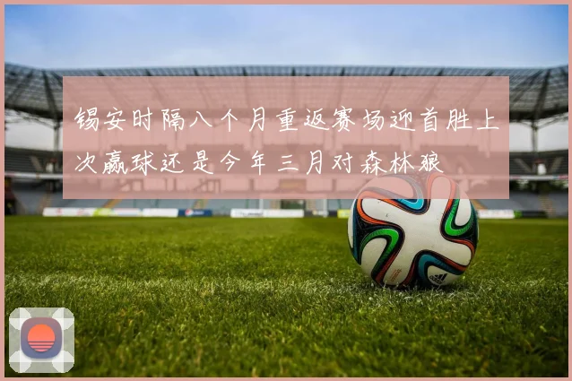 锡安时隔八个月重返赛场迎首胜上次赢球还是今年三月对森林狼