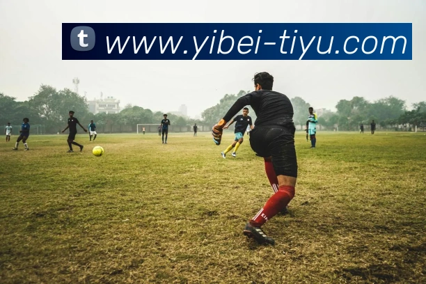 易倍体育品牌故事